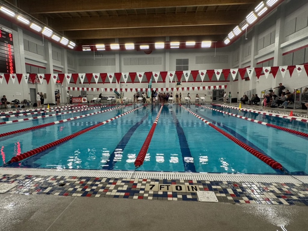 Striving for Success: Two Swimmers’&nbsp;Journey