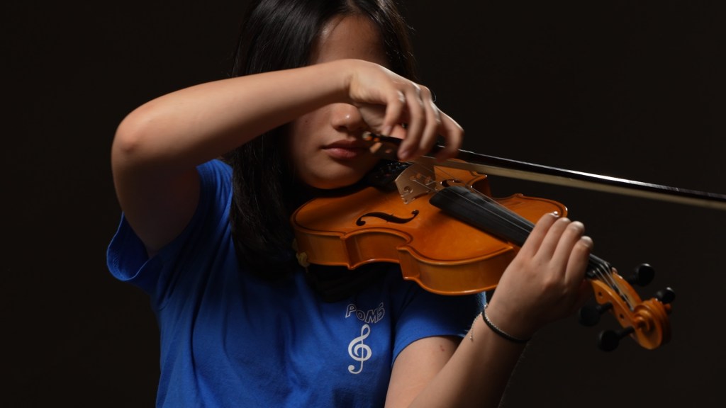 Review: Do You Really Need a $40,000&nbsp;Violin?